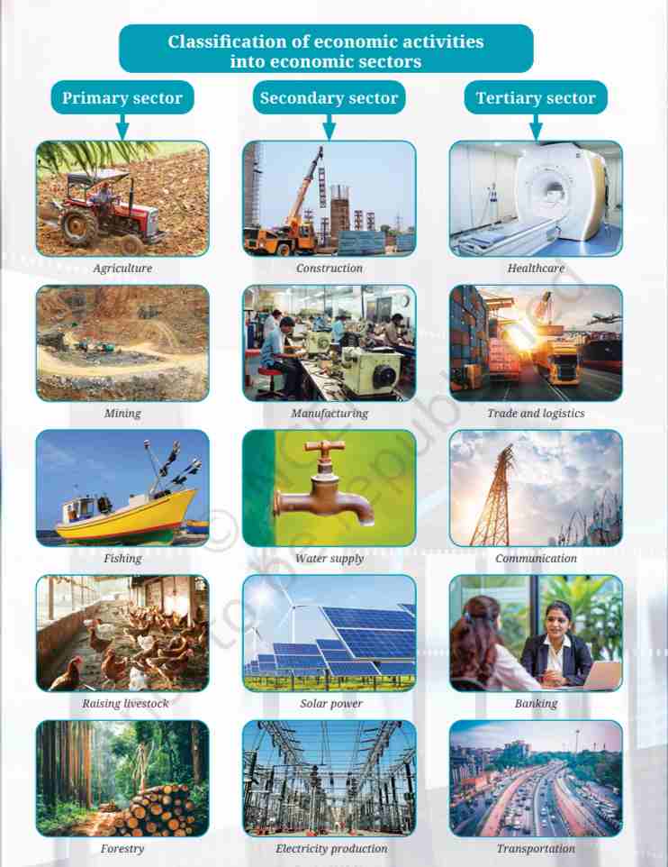 अर्थव्यवस्थेच्या प्रत्येक क्षेत्रातील क्रियाकलाप